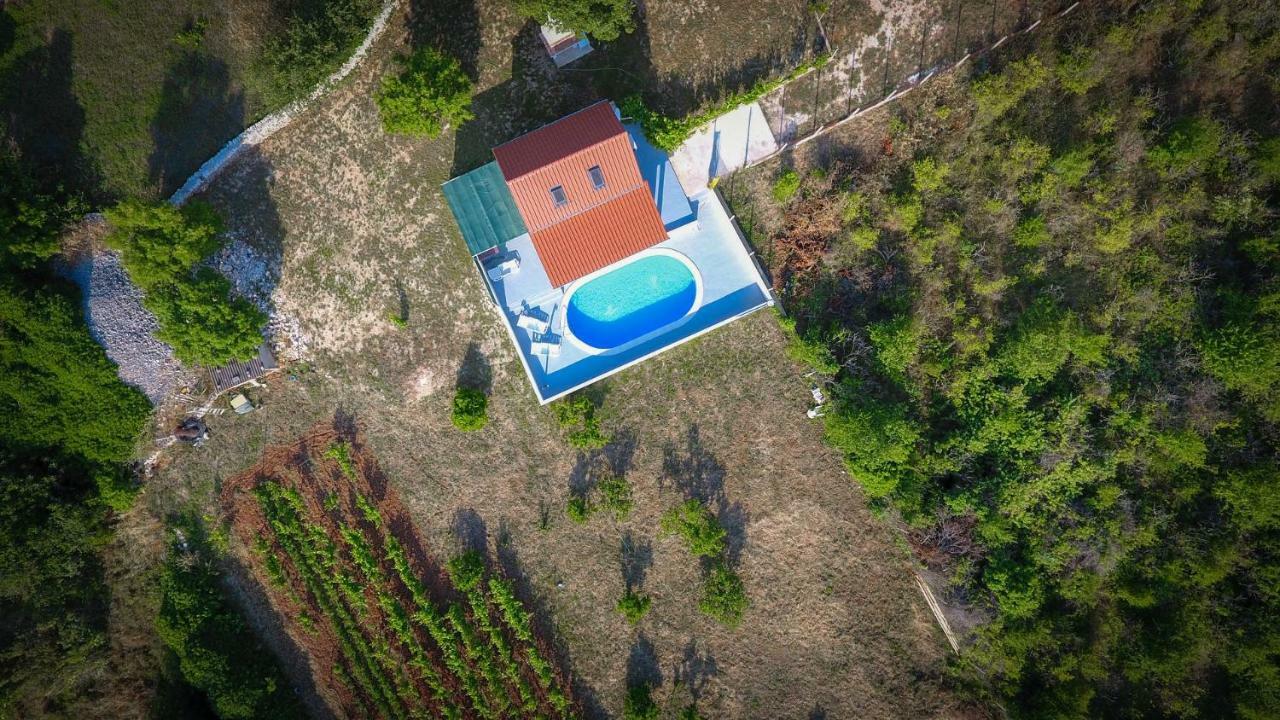 Villa Baras Garden - House With Pool Mirce المظهر الخارجي الصورة